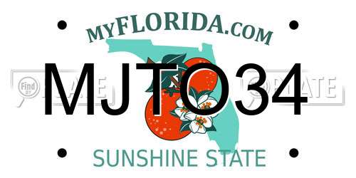 MJTO34 Florida License Plate