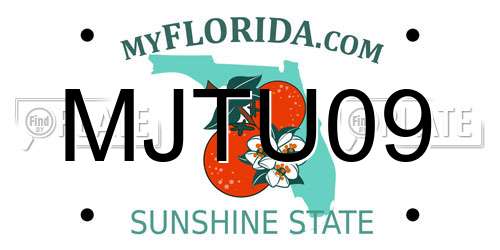 MJTU09 Florida License Plate
