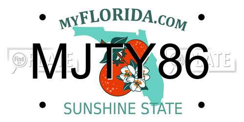 MJTY86 Florida License Plate