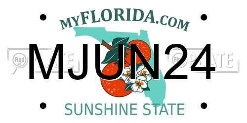 MJUN24 Florida License Plate