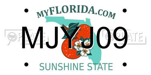 MJYJ09 Florida License Plate