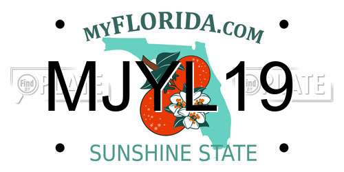 MJYL19 Florida License Plate
