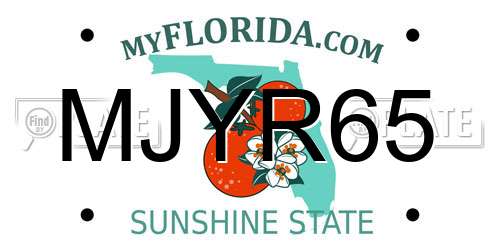 MJYR65 Florida License Plate