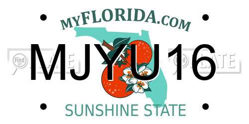 MJYU16 Florida License Plate