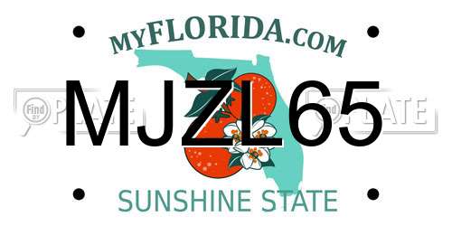 MJZL65 Florida License Plate
