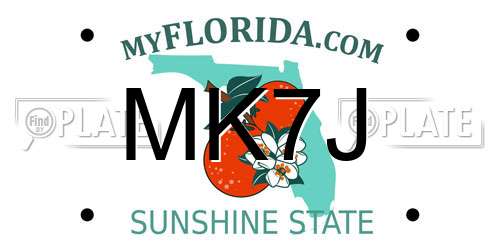 MK7J Florida License Plate