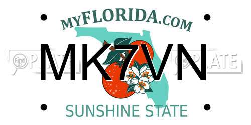 MK7VN Florida License Plate