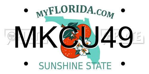 MKCU49 Florida License Plate