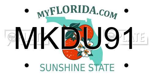 MKDU91 Florida License Plate