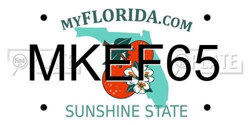 MKEF65 Florida License Plate