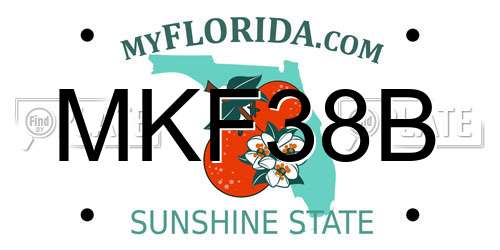 MKF38B Florida License Plate