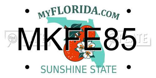 MKFE85 Florida License Plate