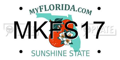 MKFS17 Florida License Plate