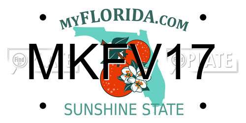 MKFV17 Florida License Plate