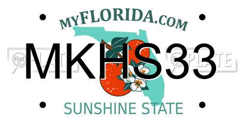 MKHS33 Florida License Plate