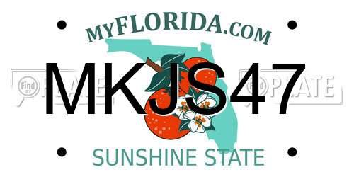MKJS47 Florida License Plate