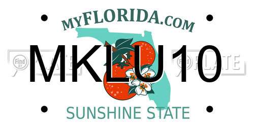 MKLU10 Florida License Plate