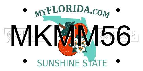 MKMM56 Florida License Plate
