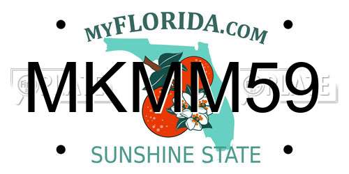 MKMM59 Florida License Plate