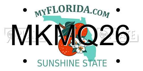 MKMQ26 Florida License Plate