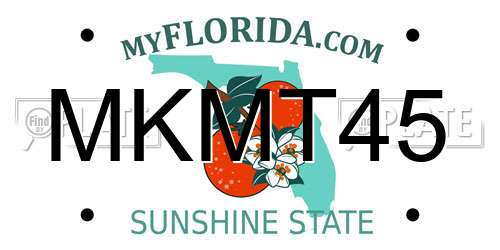 MKMT45 Florida License Plate