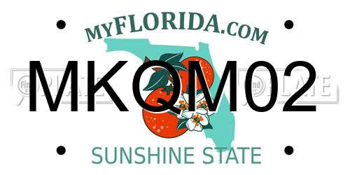 MKQM02 Florida License Plate
