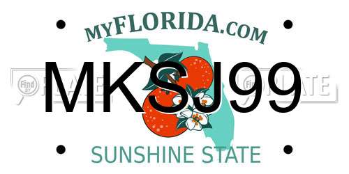 MKSJ99 Florida License Plate