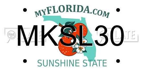 MKSL30 Florida License Plate