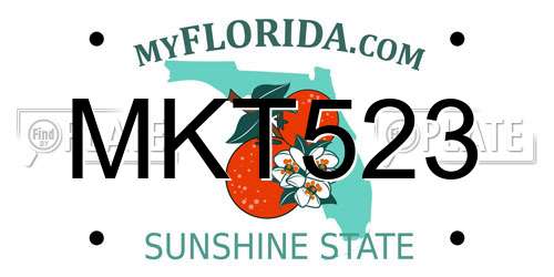 MKT523 Florida License Plate