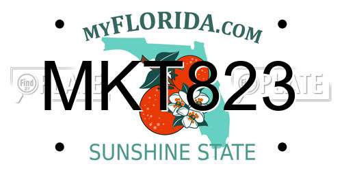 MKT823 Florida License Plate