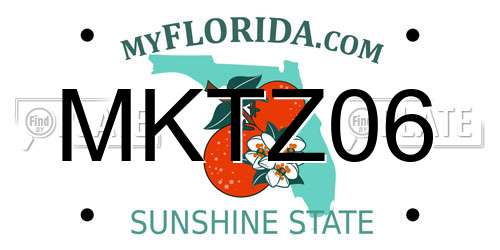 MKTZ06 Florida License Plate