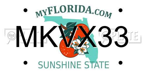 MKVX33 Florida License Plate