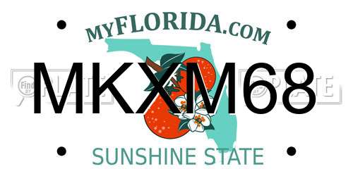 MKXM68 Florida License Plate