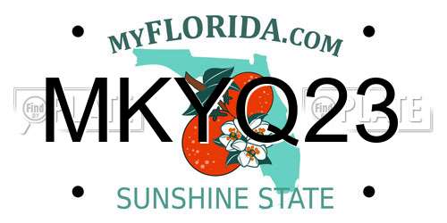 MKYQ23 Florida License Plate