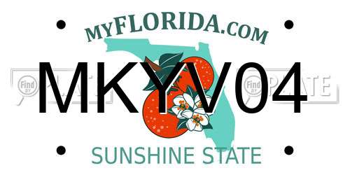 MKYV04 Florida License Plate