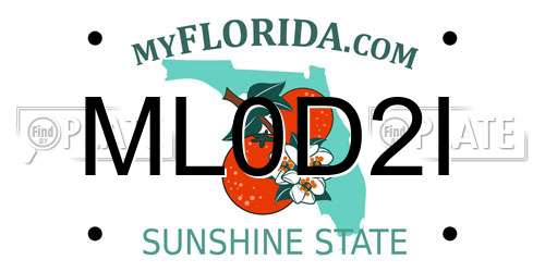 ML0D2I Florida License Plate