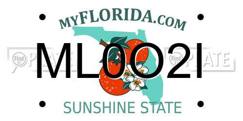 ML0O2I Florida License Plate