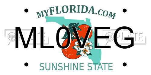 ML0VEG Florida License Plate
