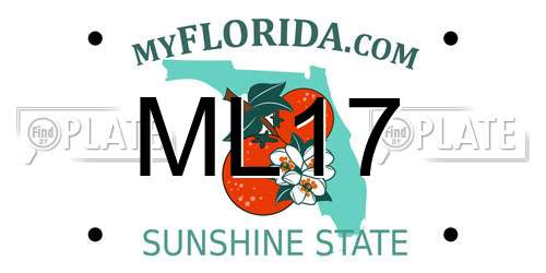 ML17 Florida License Plate