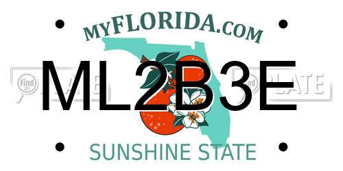 ML2B3E Florida License Plate