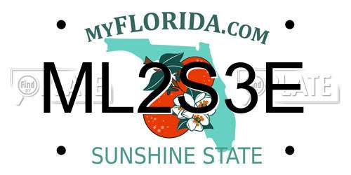 ML2S3E Florida License Plate