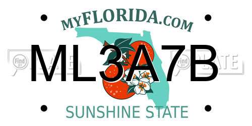 ML3A7B Florida License Plate