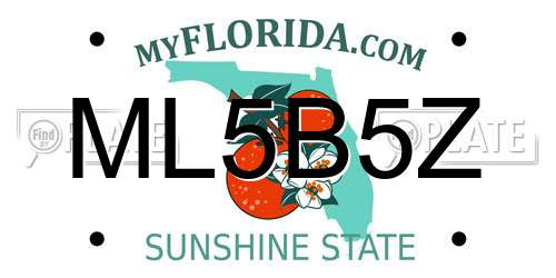 ML5B5Z Florida License Plate