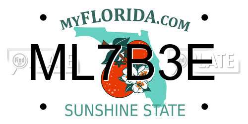 ML7B3E Florida License Plate