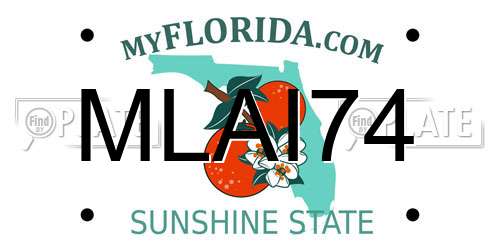 MLAI74 Florida License Plate
