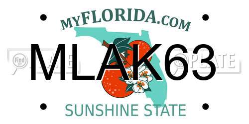 MLAK63 Florida License Plate