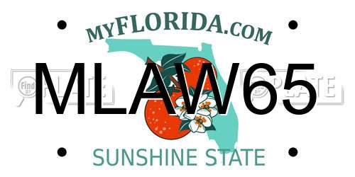 MLAW65 Florida License Plate