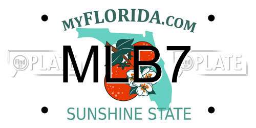 MLB7 Florida License Plate