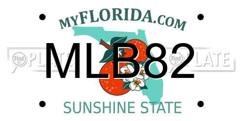 MLB82 Florida License Plate