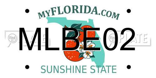 MLBE02 Florida License Plate